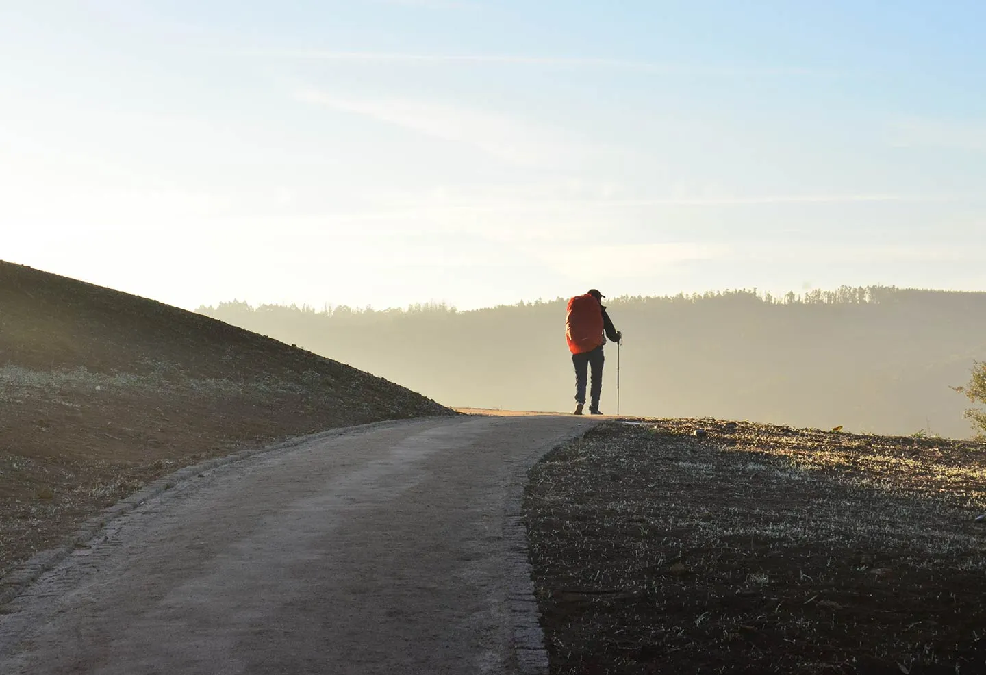 camino-de-santiago-hostal-artilleiro